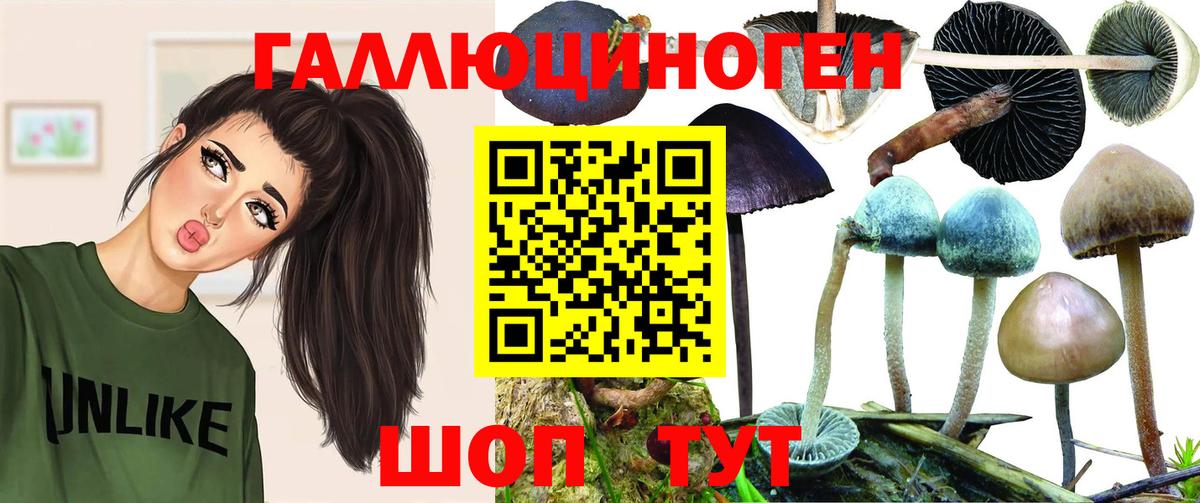 Галлюциногенные грибы GOLDEN TEACHER  Наро-Фоминск 